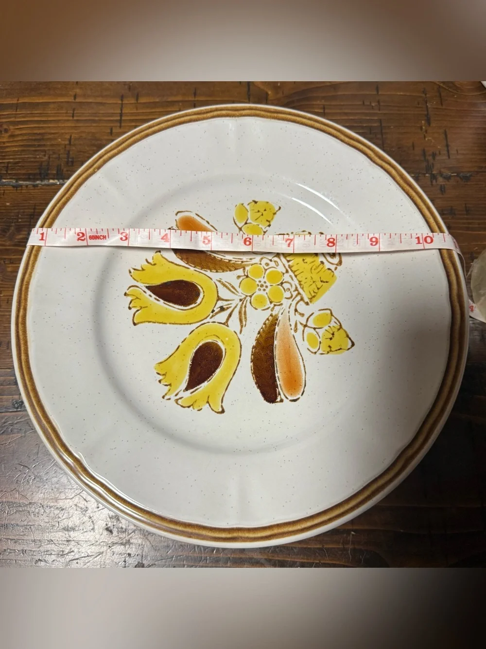 6 Vintage Hearthside Bountiful Stoneware Dinner Plates - Hand Painted Japan